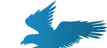 Bird-social 01