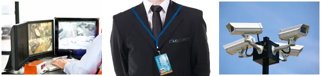 CCTV-Security-page-img