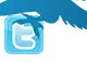 Bird-social 03